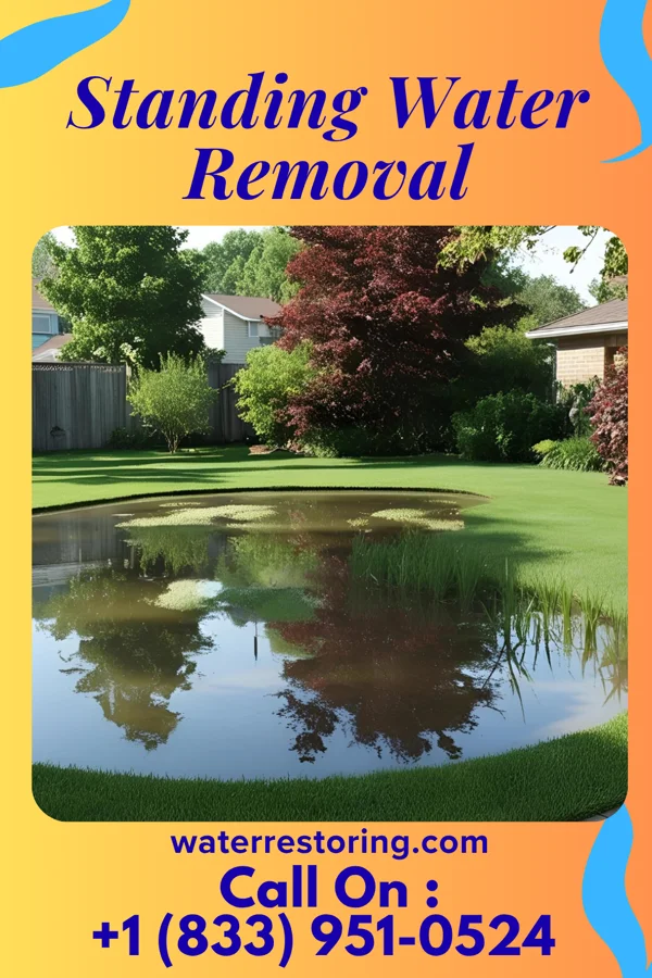 Standing Water Removal in Clarkson, NE